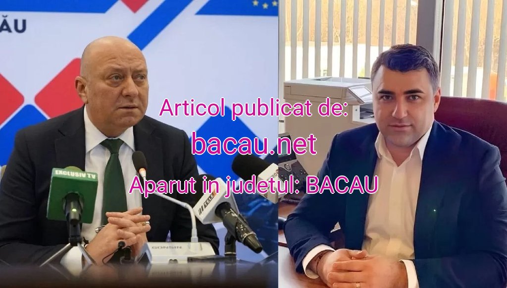 bacau.net-ivancea-tulpan-20251030150618.jpg