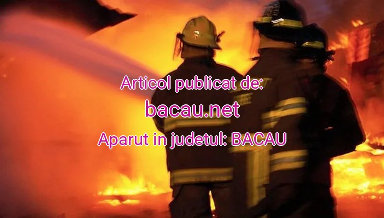 bacau.net-pompieri-incend-20251031110028.jpg