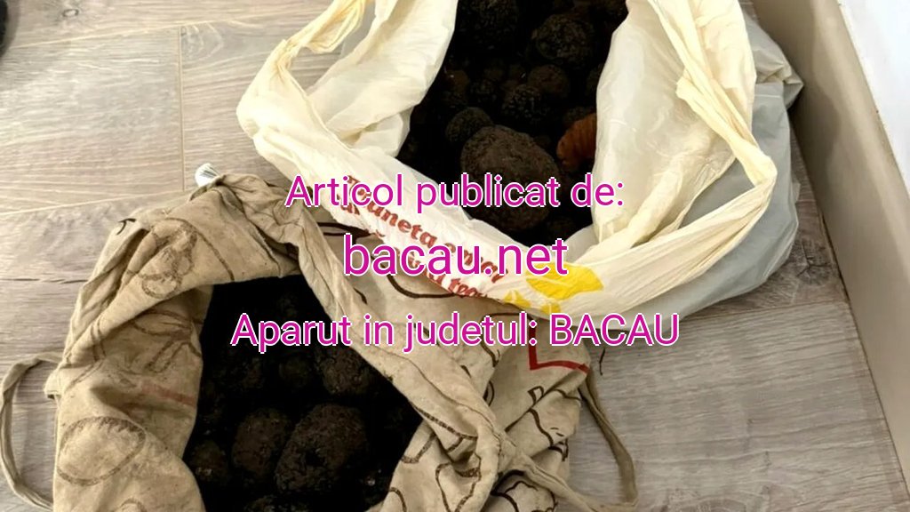 bacau.net-trufe-20251031070011.jpg